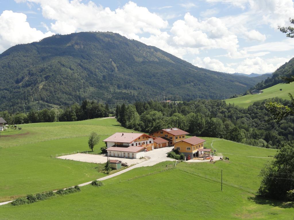 Gut Mitterlehen Apartment Elsbethen Bagian luar foto